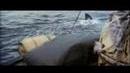Jaws Trailer 1975