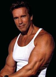 Photo of arnold schwarzenegger-15208