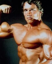 Arnold-schwarzenegger (1)