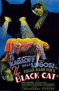 The Black Cat (1934)