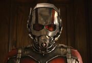 Scott Lang 003