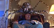 Eight legged freaks 002