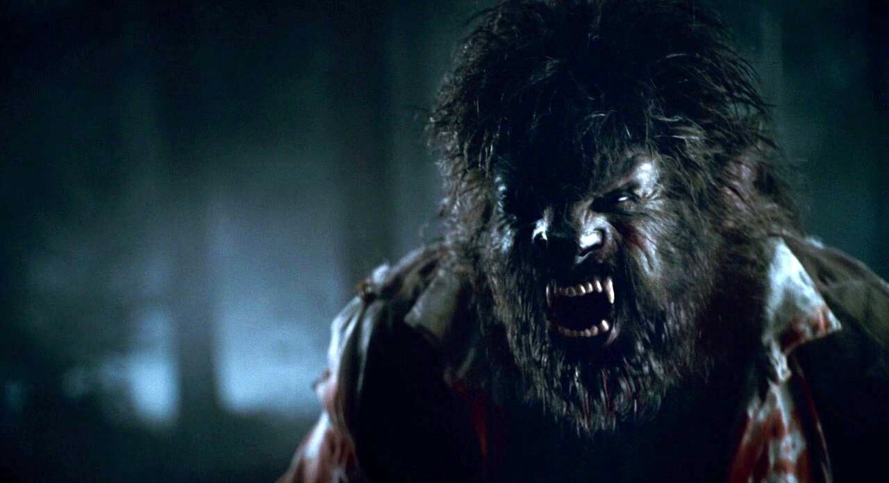 Wolfman Wallpapers - Wallpaper Cave