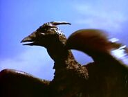 Rodan 004