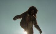 Giant Yeti 011