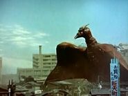 Rodan 005