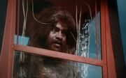 Giant Yeti 010