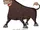 Ferdinand the bull (Dreamworks)