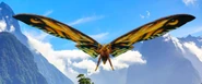 Mothra takes flight