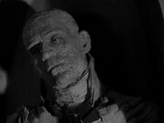 Mummy, The (1932) 01.jpg