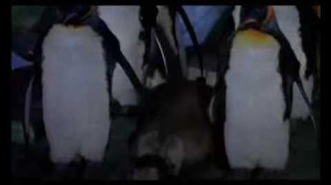 The Penguin | Movie Morgue Wiki | Fandom