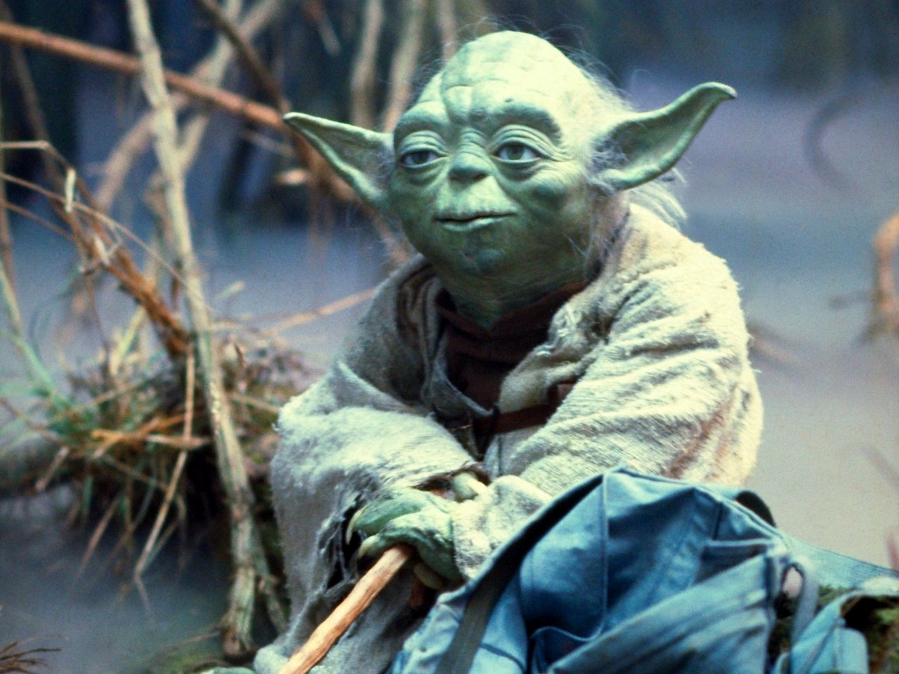 how old is master yoda