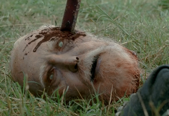 Hershel Head