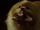 Pac-Man