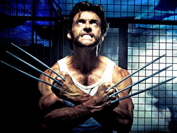 Wolverine.jpg