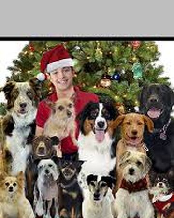 12 Dog Days Till Christmas