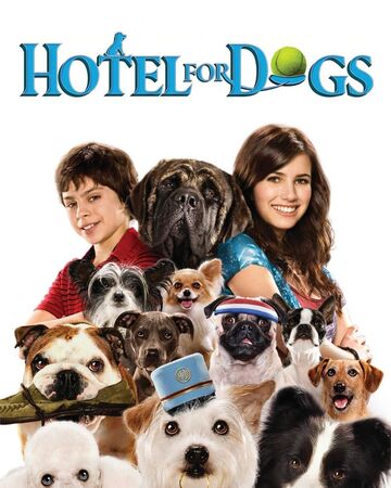 Hotel For Dogs Movie Wiki Travelers Motel Veja mais ideias sobre vilãs, super herói, esquadrão suicida. hotel for dogs movie wiki travelers motel