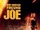 Mein großer Freund Joe