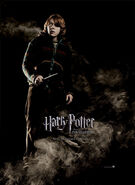 Der Feuerkelch Charakterposter Ron Weasley