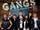 Gangs