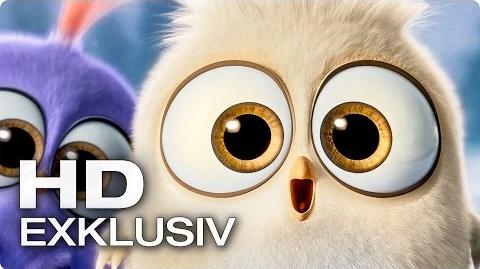 Angry Birds - Der Film - Weihnachtsgrüße