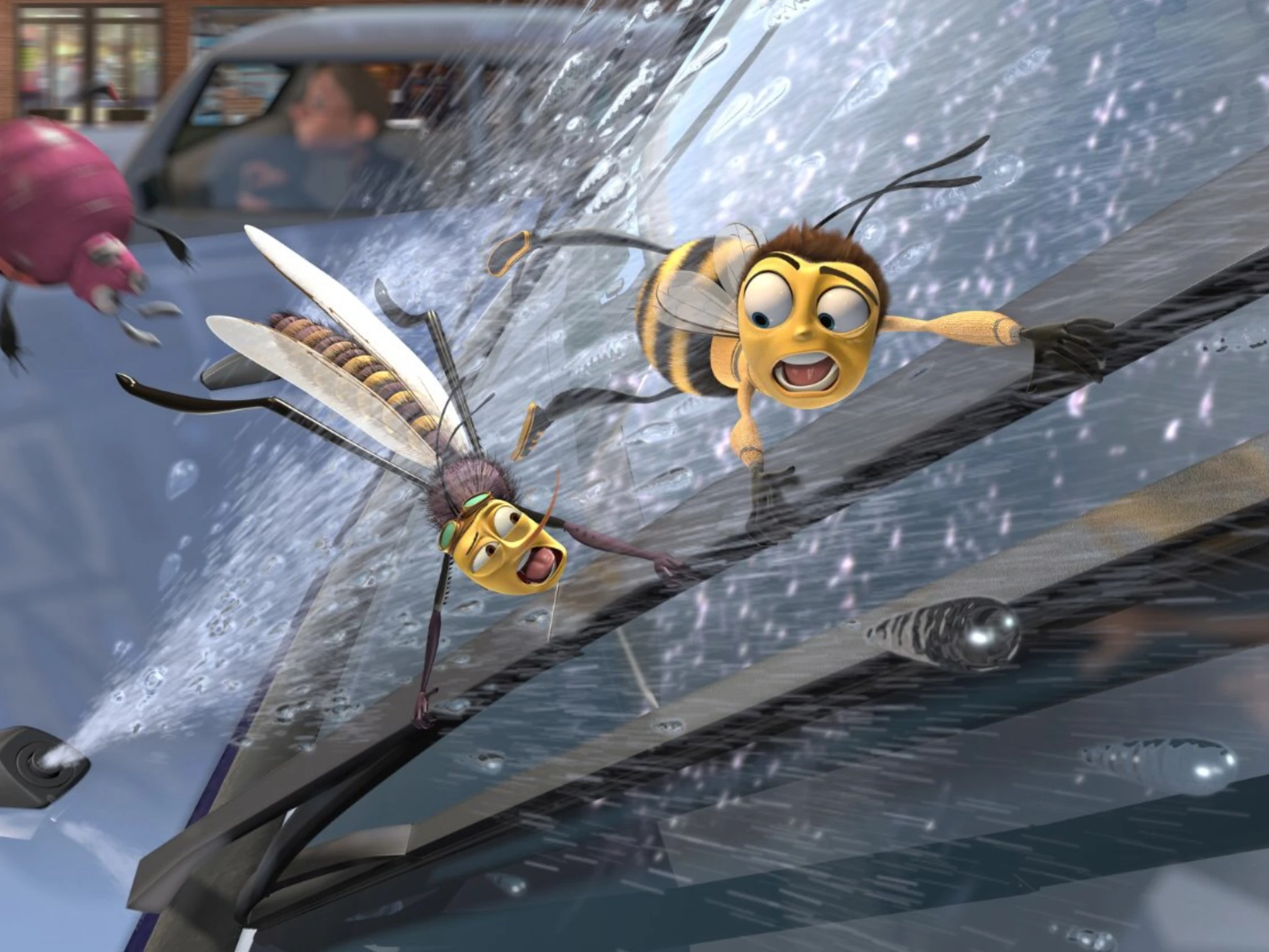 VOLAMOS EN PARAPENTE🪂🤩 @larissa barrieemm nos cuenta su experiencia... |  TikTok, image size:2048x1536