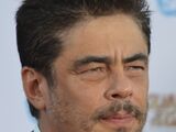 Benicio Del Toro