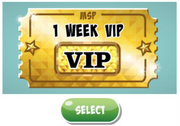 DiamondPackages-VIPTicket