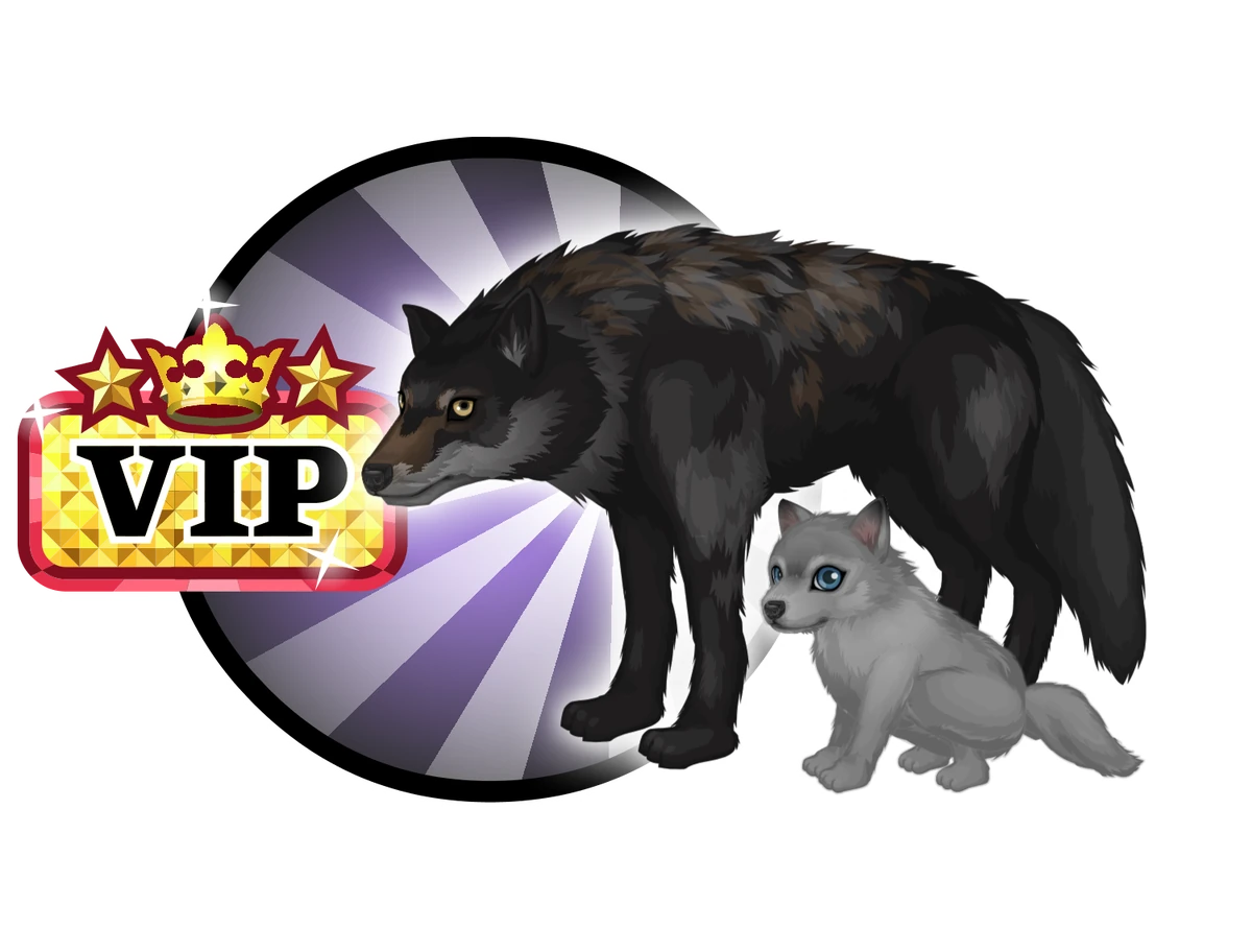 KategorieSets 2025 Wiki Fandom