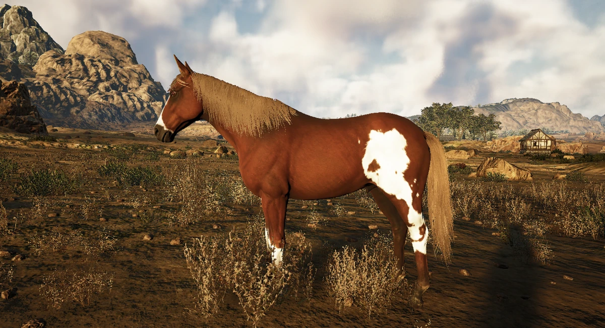 Horses Mortal Online Wiki Fandom