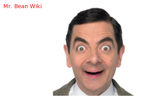 Mr. Bean Wiki
