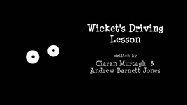 Wickets Driving Lesson