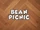 Bean Picnic