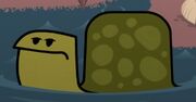 Honking turtle