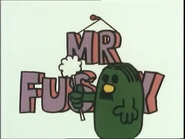 Mr. Fussy Intro (19)