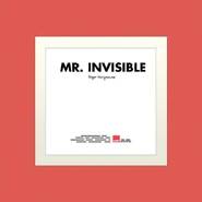 Mr. Invisible