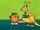 Penguin the Kangaroo