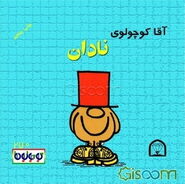 First Persian Cover