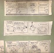 Some of the strips.