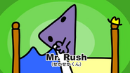 Mr. Rush Kawaii Titles