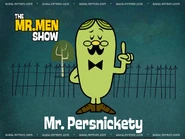 Mr. Fussy's desktop screen