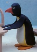 Pingu's Dad