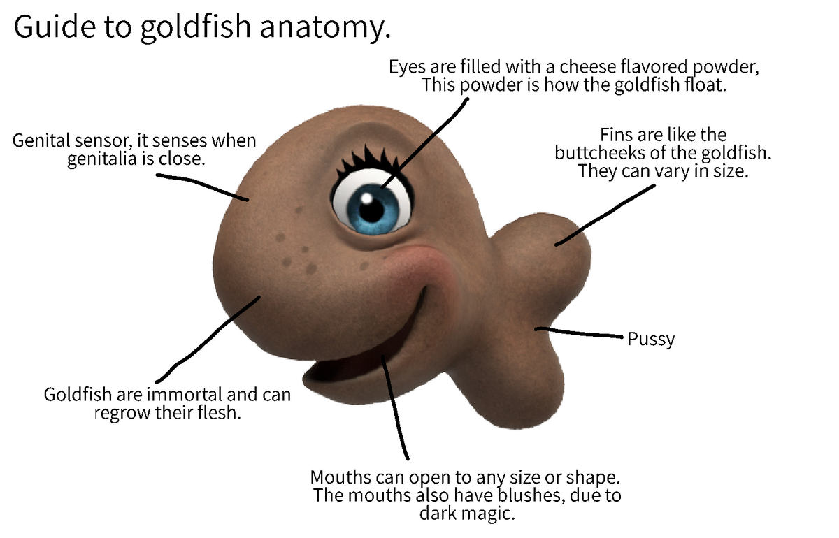 Coral (Goldfish) Mr. and Ms. /co/ Wiki Fandom