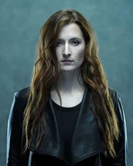 Promotional Dominique.jpg (55 KB)