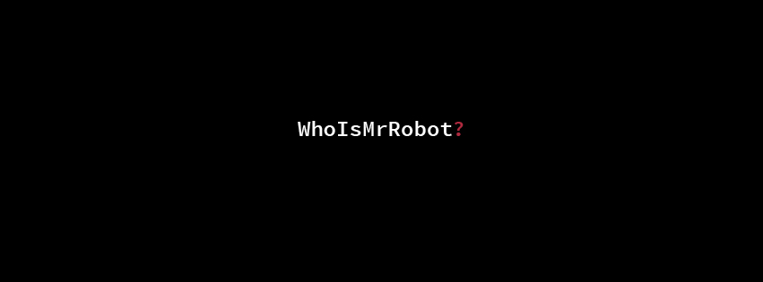 The Wertzone: Mr Robot: Season 1