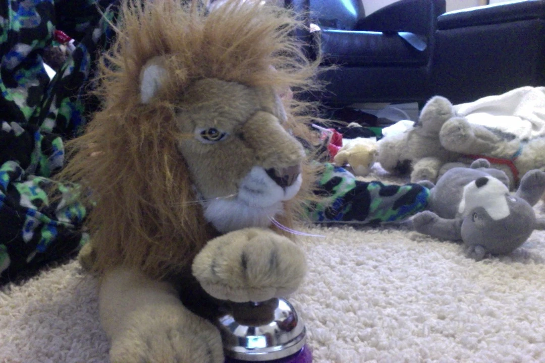 Leo the Judge | MrWWEEthanstyle101 Wikia | Fandom