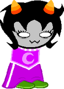 A dead dream Nepeta.