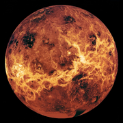 Lolar venus