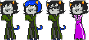 Nepeta in the Ministrife.