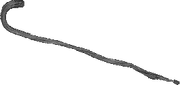 BULL CANE.png